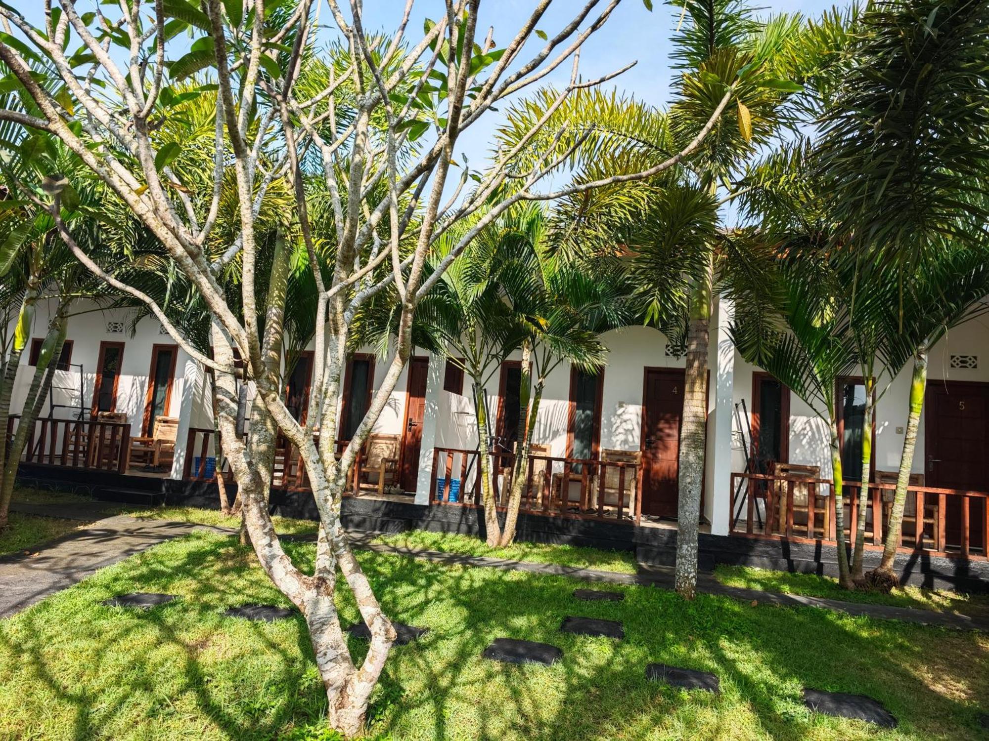 Hotel Surf Camp 79 Kuta  Zewnętrze zdjęcie